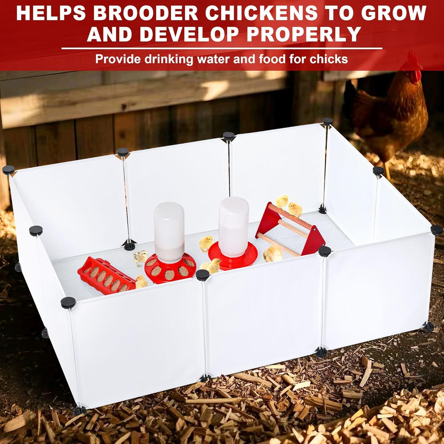 Caja de Cría para Pollitos ROSTIUTE con Comedero y Bebedero