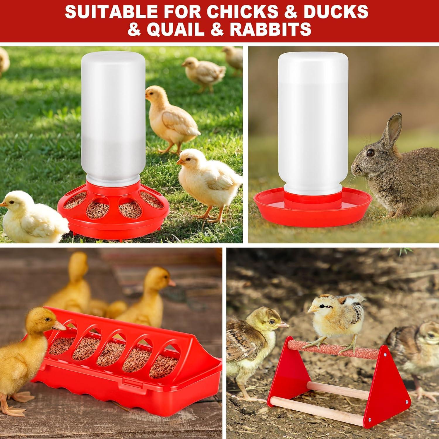 Caja de Cría para Pollitos ROSTIUTE con Comedero y Bebedero