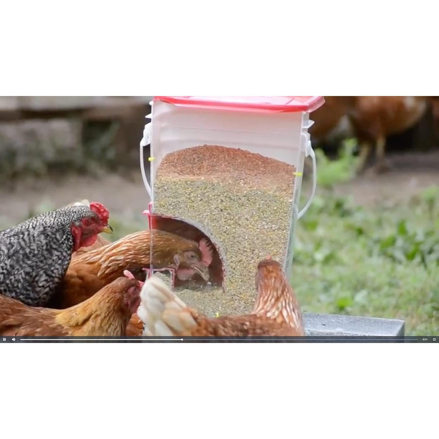 Kit Alimentador de Pollos DIY RentACoop 4 Puertos con Sierra