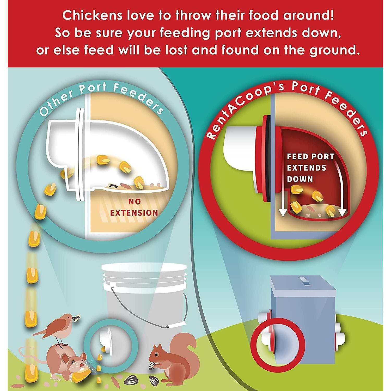 Kit Alimentador de Pollos DIY RentACoop 4 Puertos con Sierra