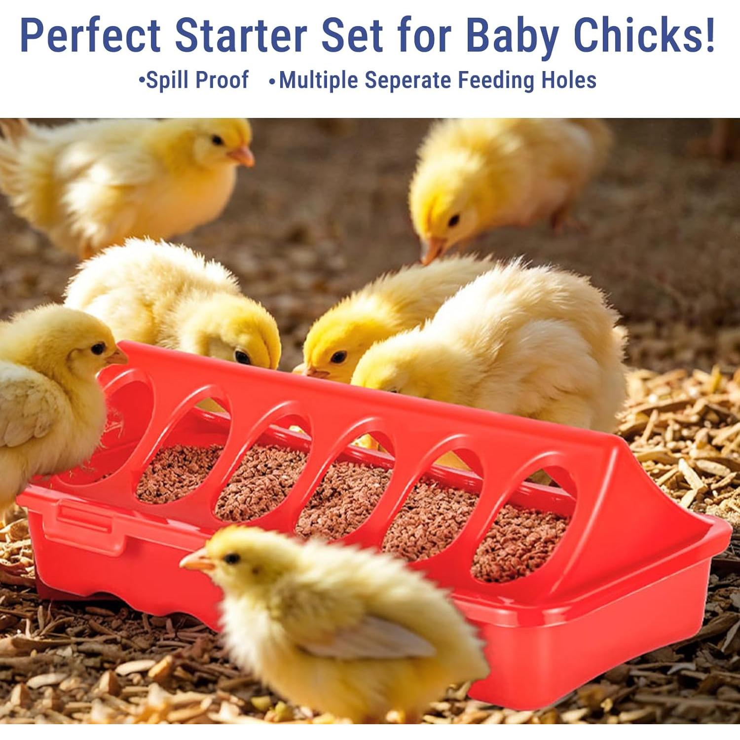 Comedero para Aves CHEOTIME 5 Piezas 25x21x10 cm