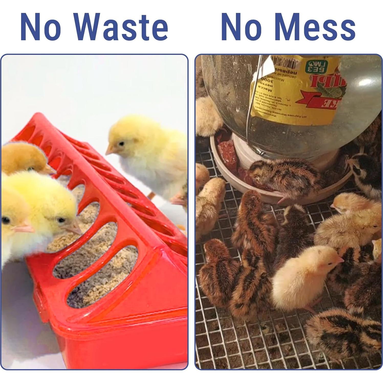 Comedero para Aves CHEOTIME 5 Piezas 25x21x10 cm