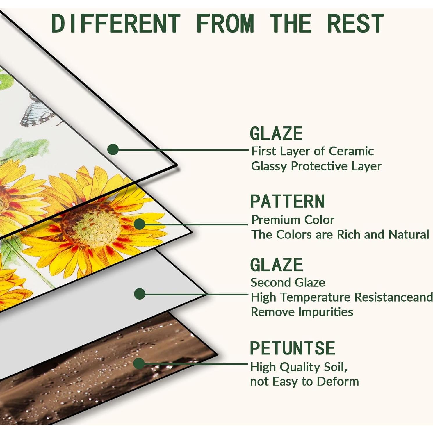 Juego de 4 Platos de Cerámica KXZ 21.6 cm Floral Microondas