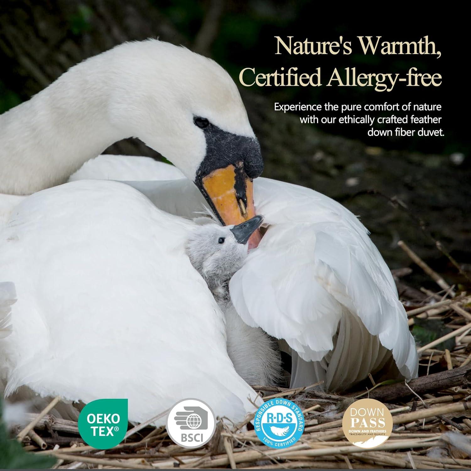 Edredón de Plumas KUSNUG King 270x229 cm Hipoalergénico