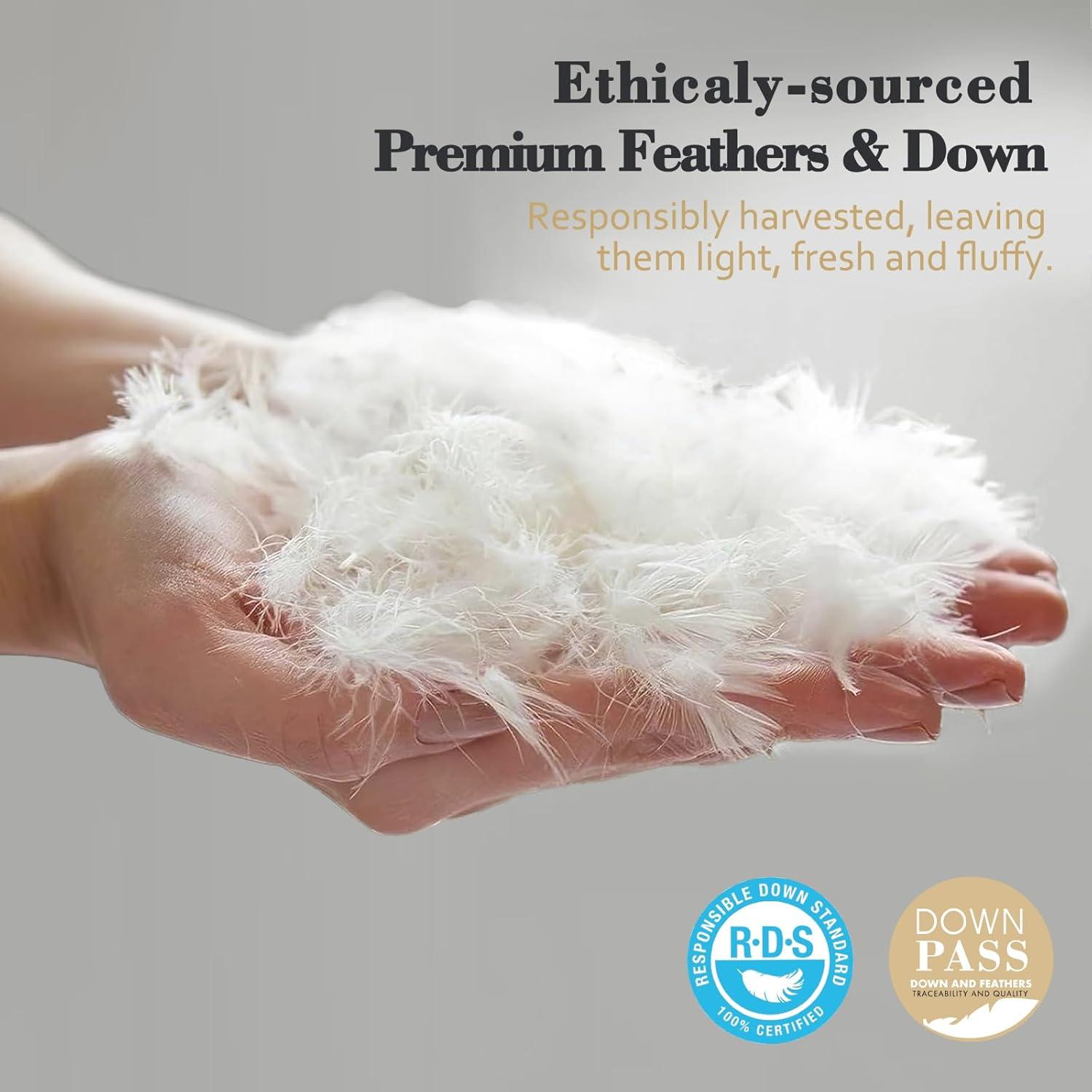 Edredón de Plumas y Plumón TOPGREEN King 100% Algodón Blanco