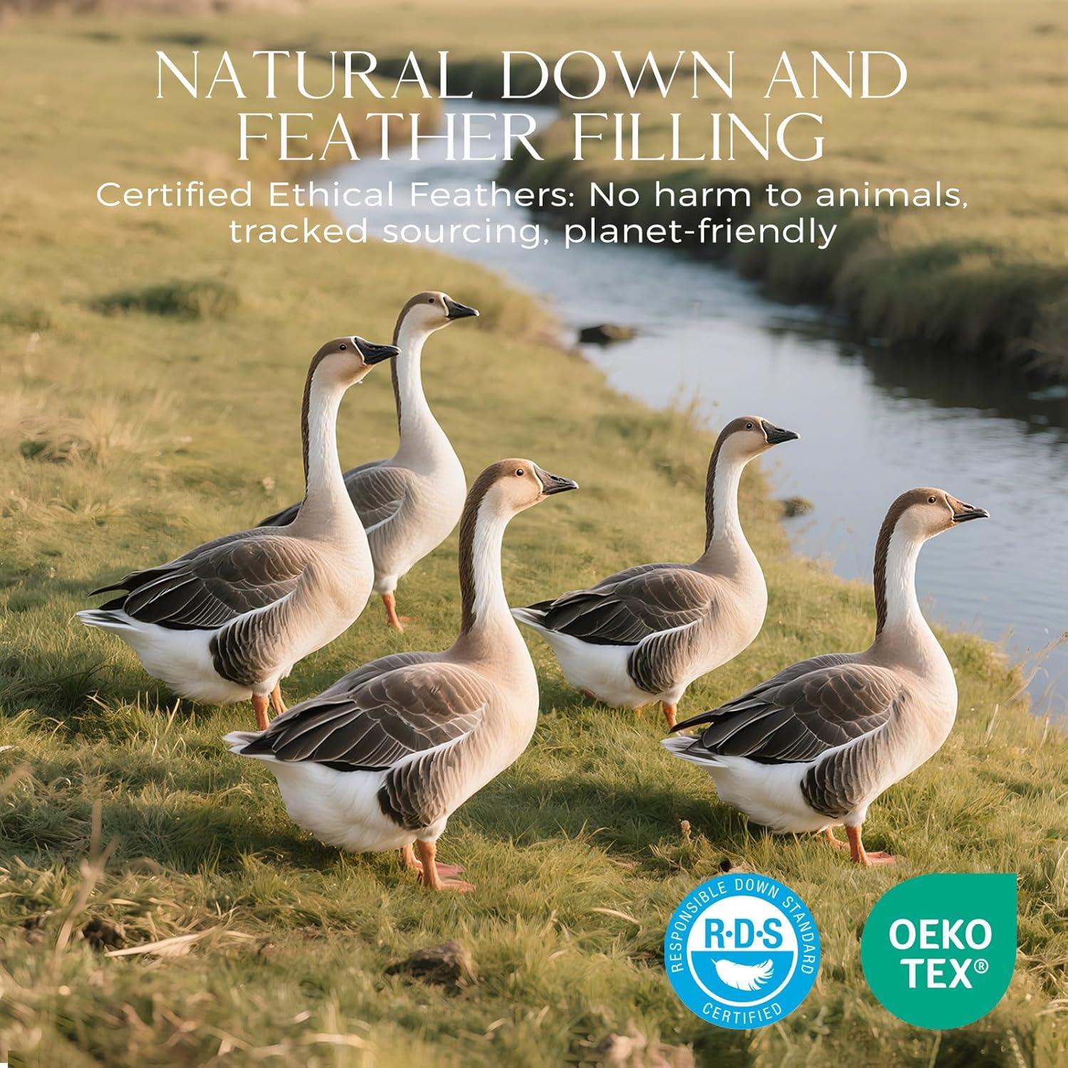 Edredón de Plumas de Ganso downluxe King Gris 264x229 cm