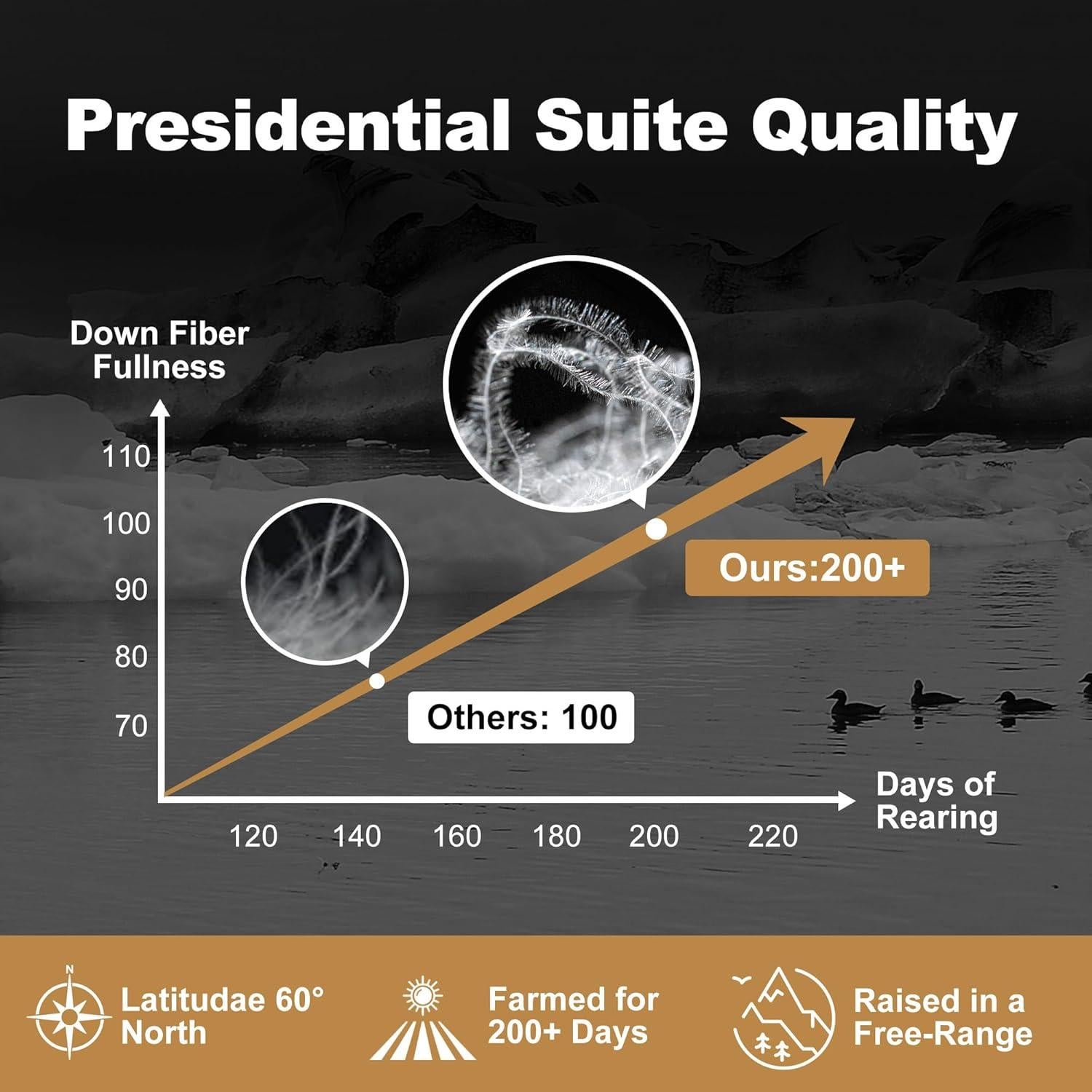 Edredón de Plumas de Pato DownAero Queen 100% Algodón Blanco