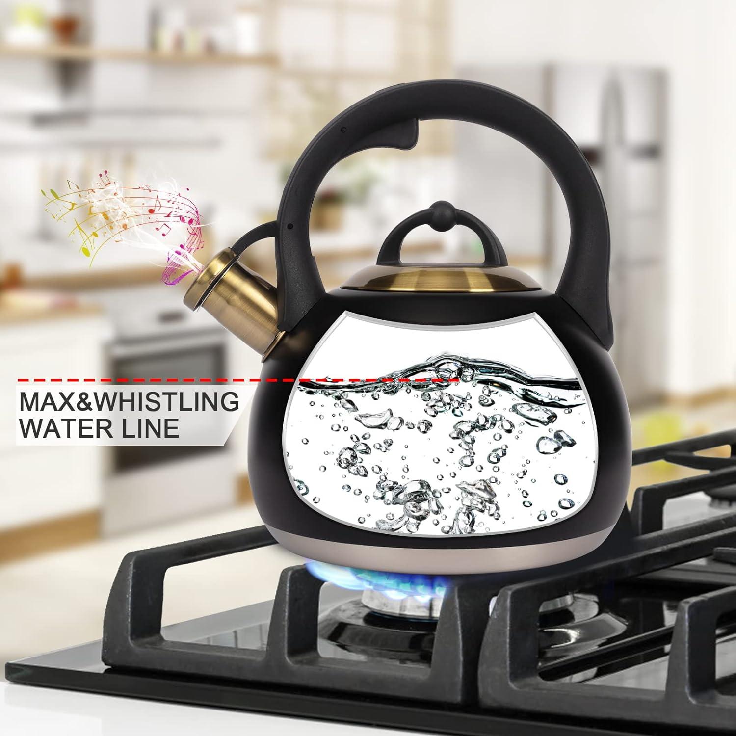 Hervidor de Té LUXGRACE Acero Inoxidable 2.9 Litros Negro