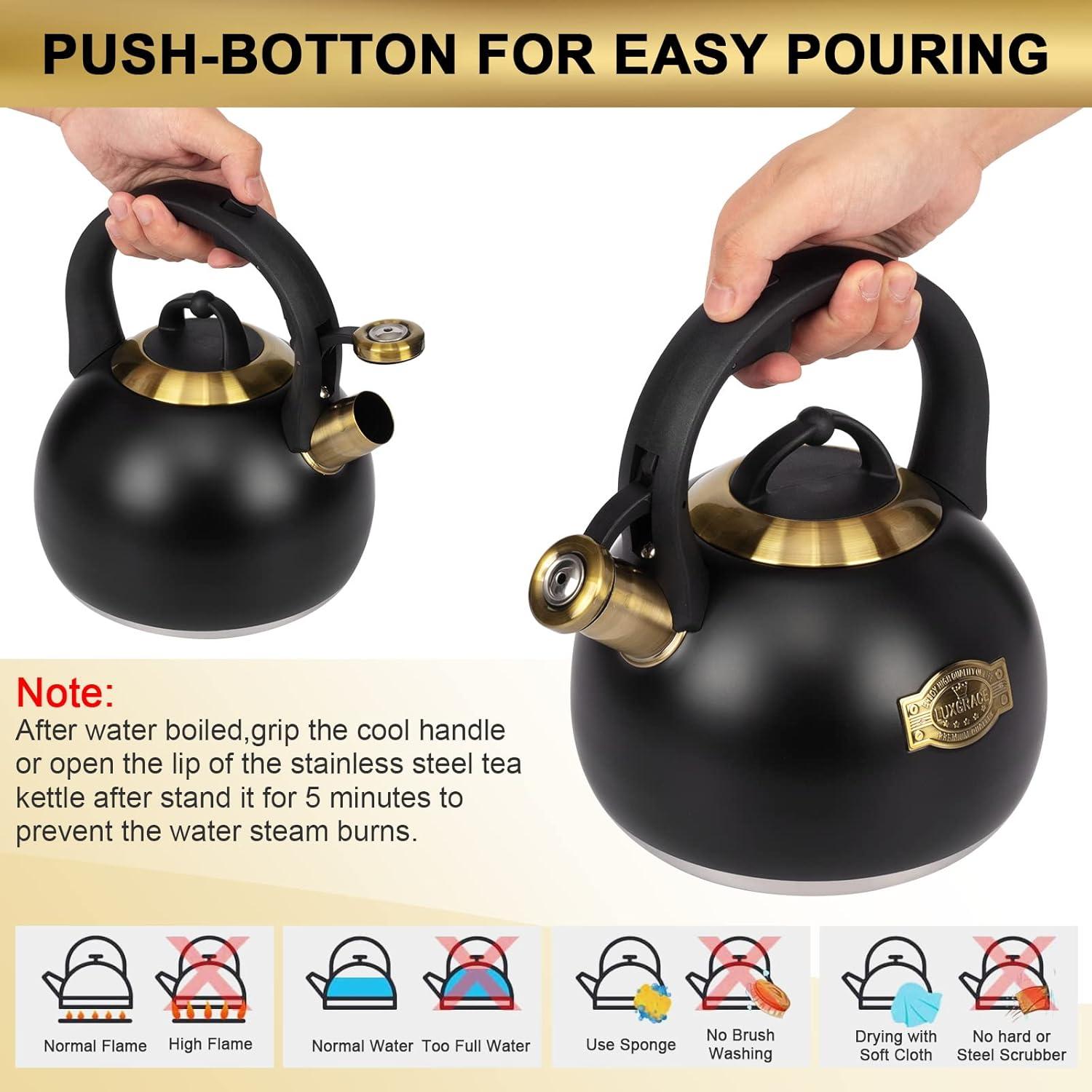 Hervidor de Té LUXGRACE Acero Inoxidable 2.9 Litros Negro