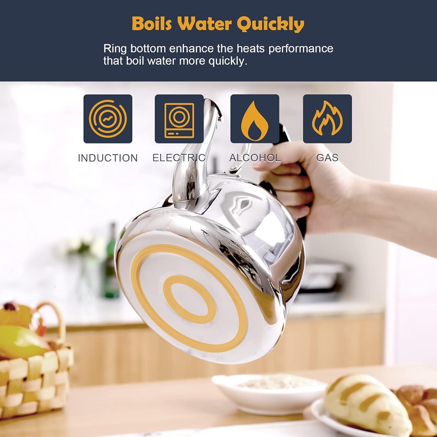 Hervidor de Té Silbante AMFOCUS 2 Litros Acero Inoxidable