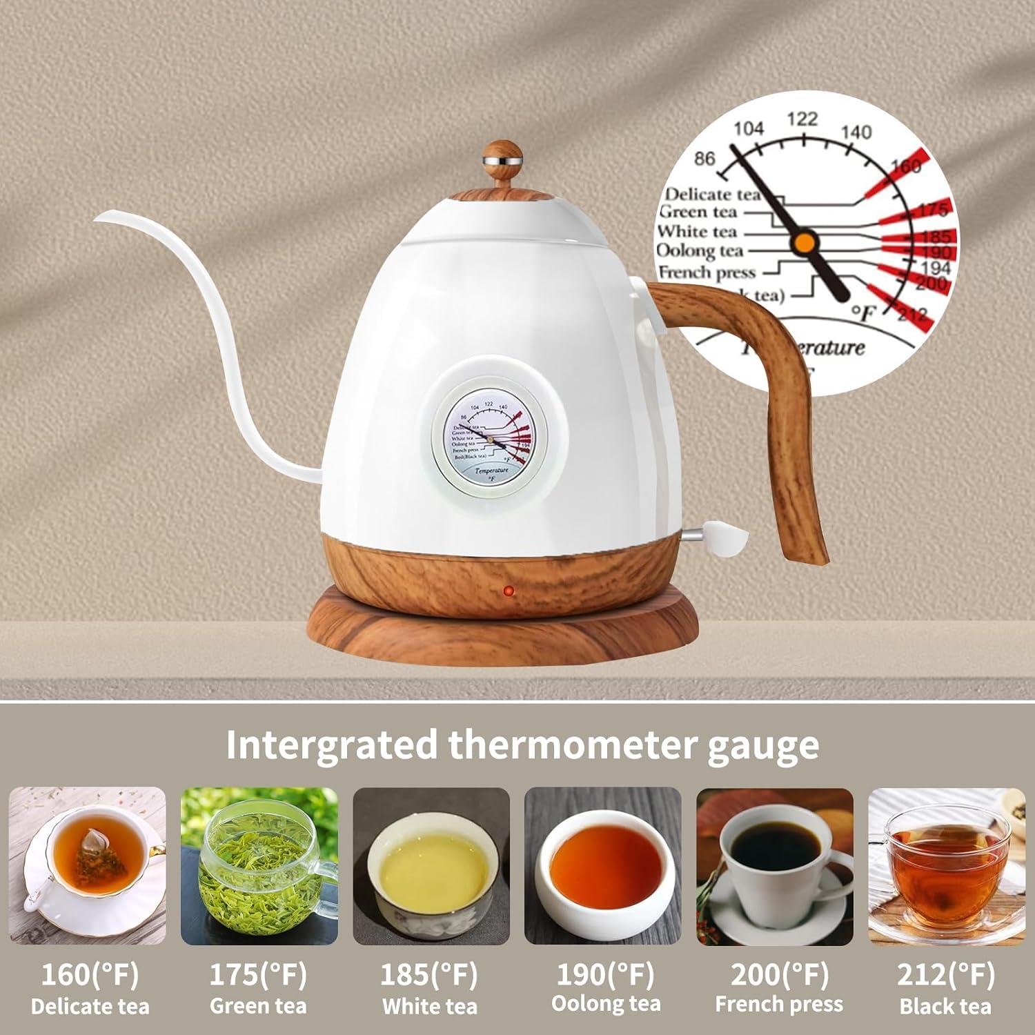 Hervidor Eléctrico CloudHand Cuello de Cisne 0.8L 1000W