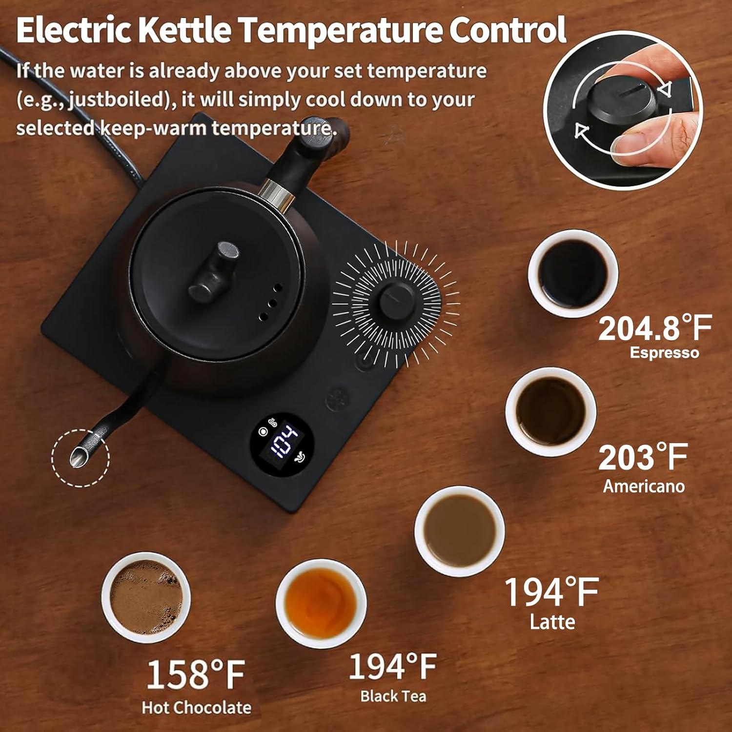 Hervidor Eléctrico MOUTIUS HR-462 Cuello de Ganso 800W