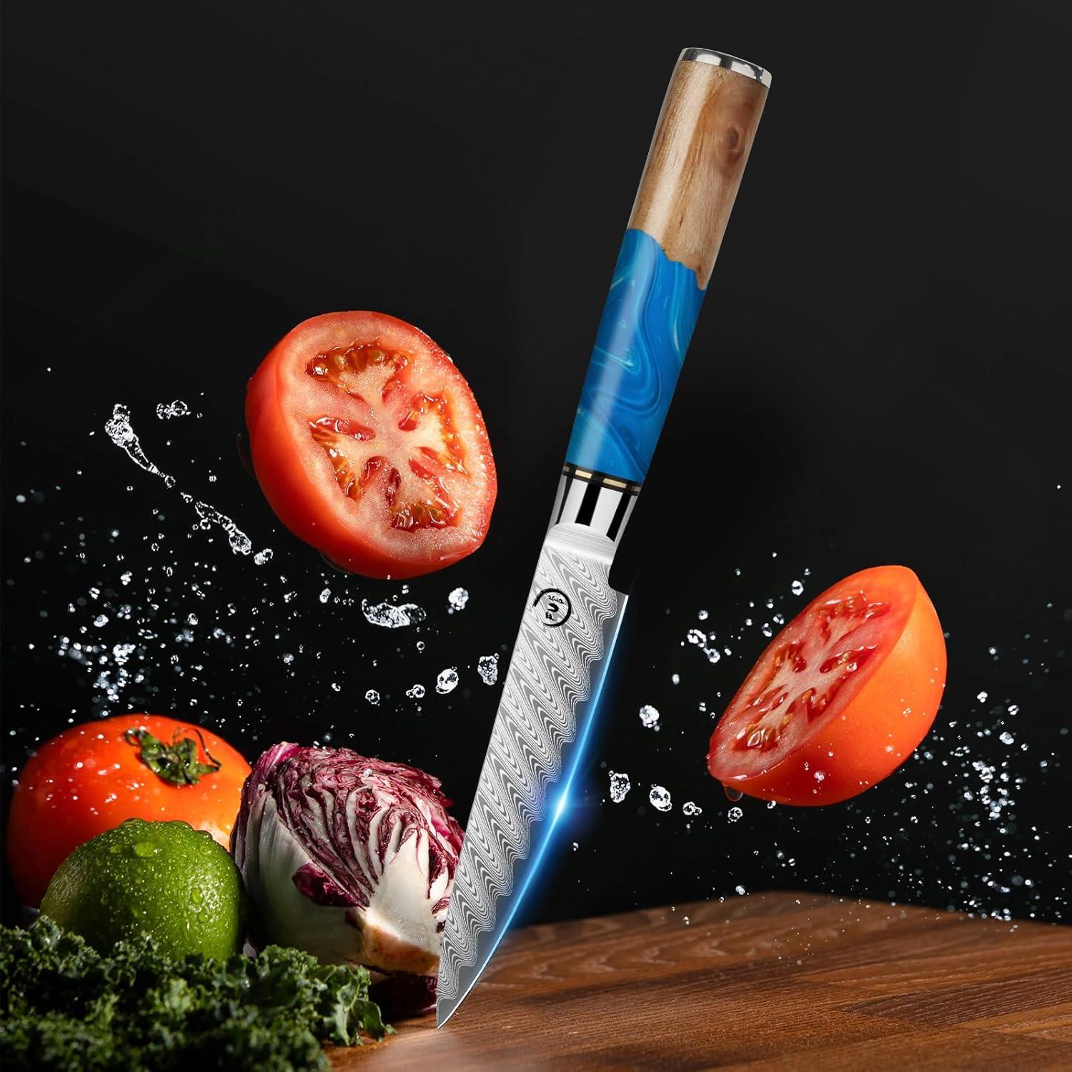 Juego de cuchillos de damasco 5 piezas Fukep VG10 acero