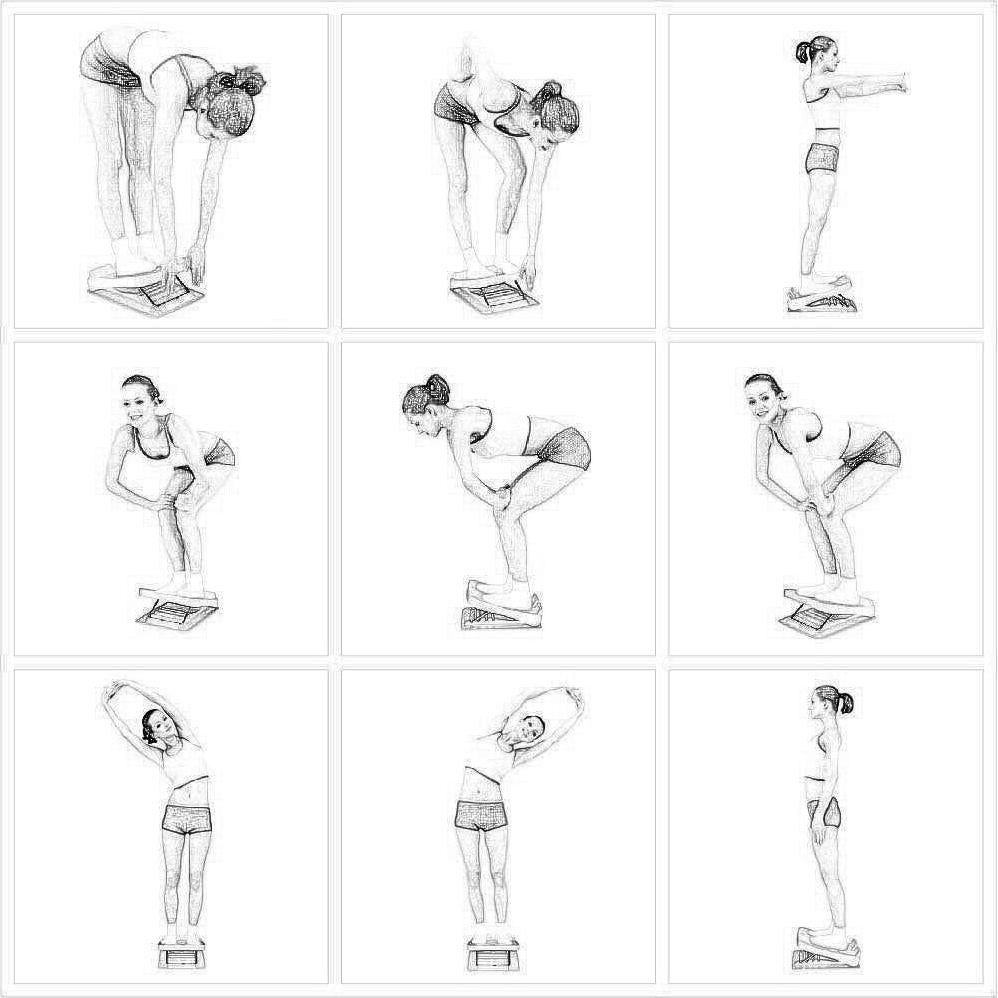 Tablero Inclinado MORDEN MS para Estiramiento de Pantorrillas
