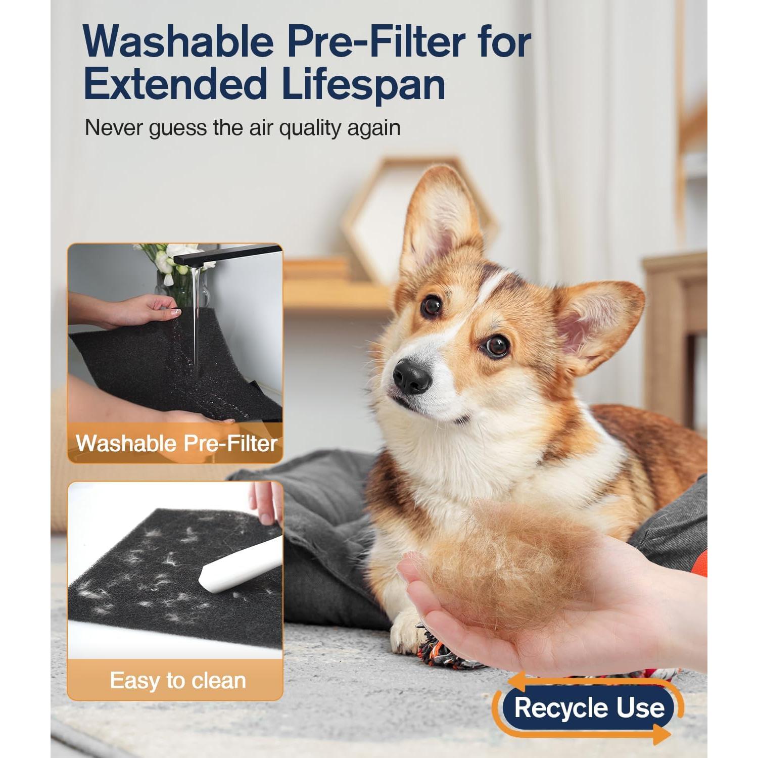 Purificador de Aire HEPA DBFIT AP300 para Habitaciones Grandes