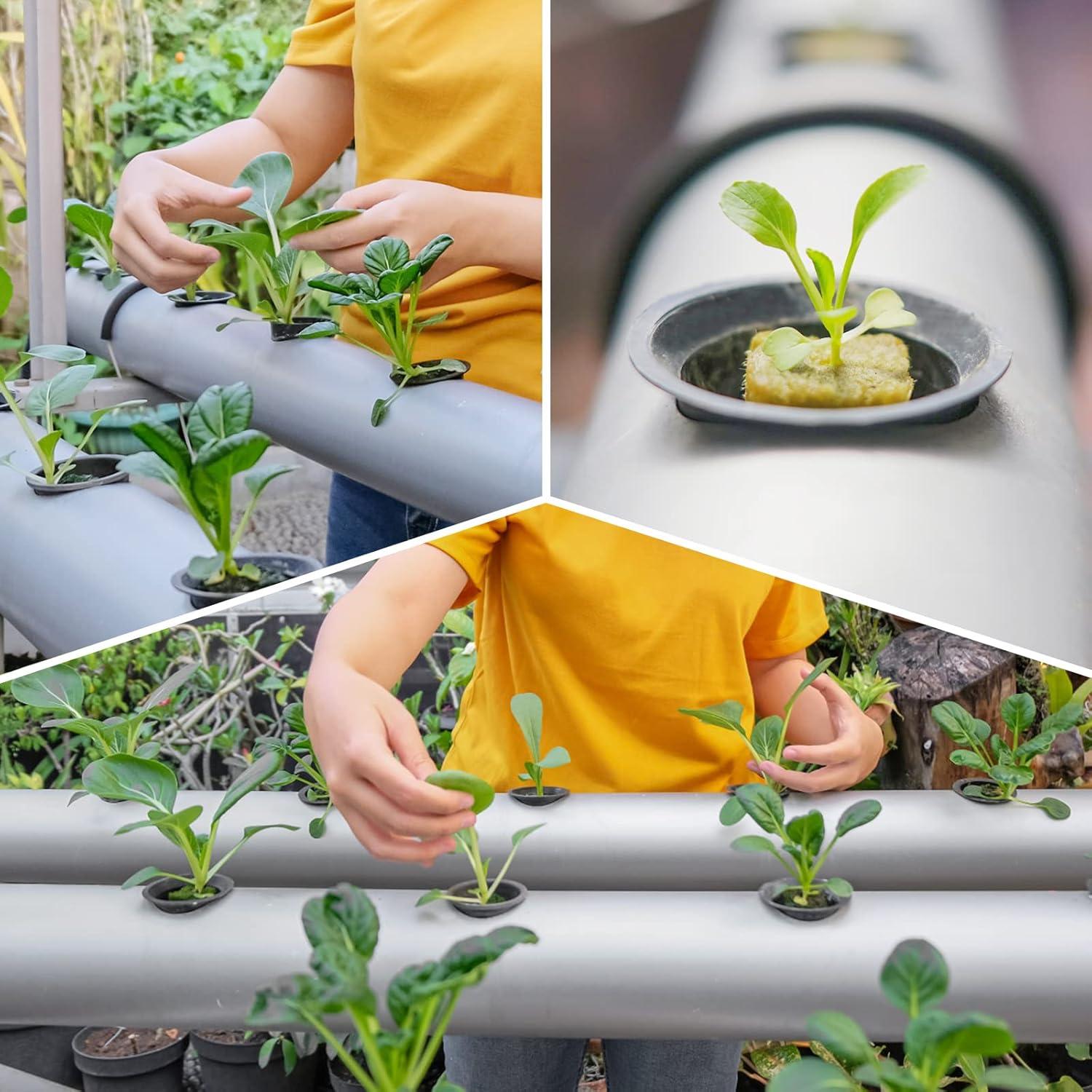 Paquete de 500 macetas de hidroponía Reeooue 5.08 cm malla