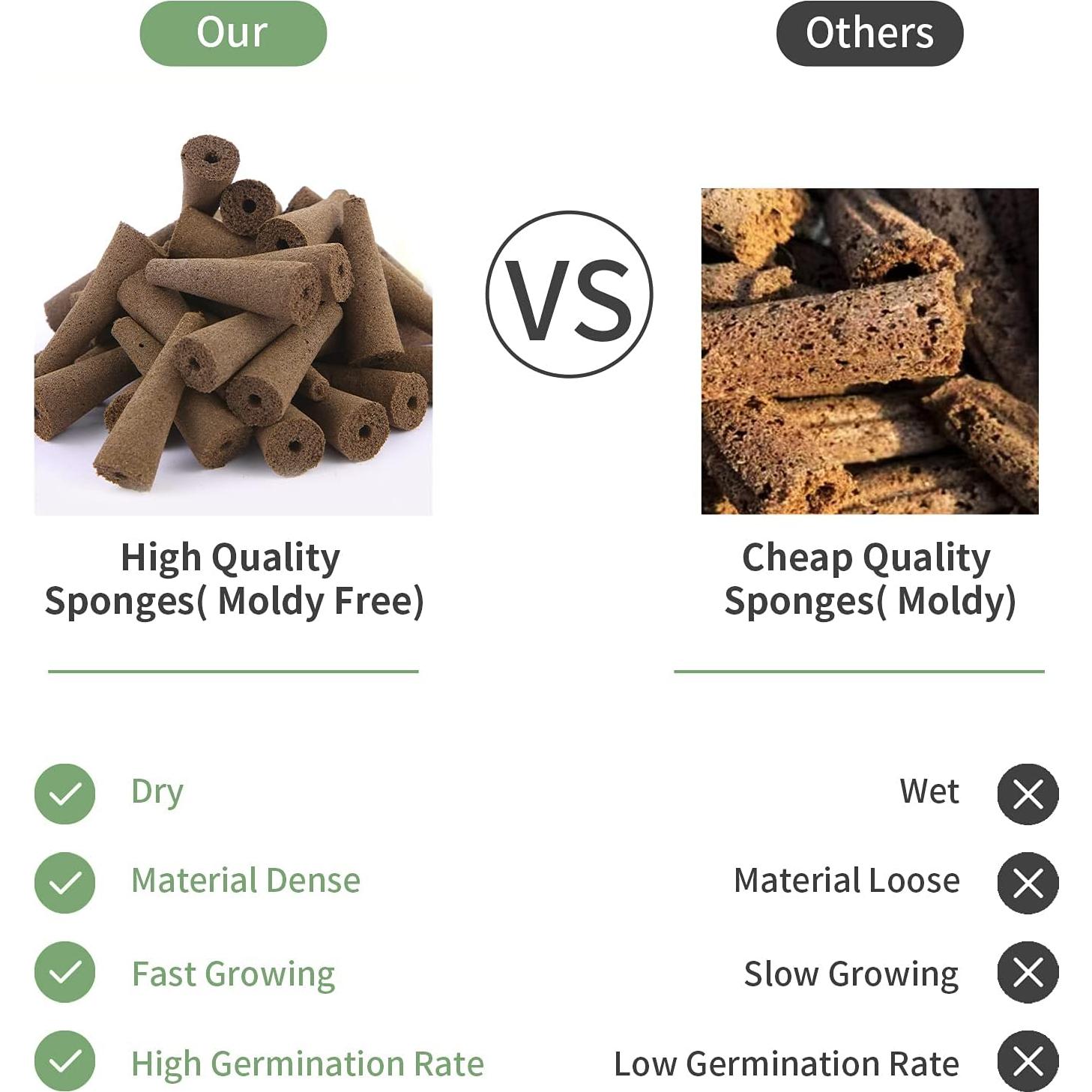 Esponjas de Crecimiento Hidropónico TISOHUGO 100 Unidades