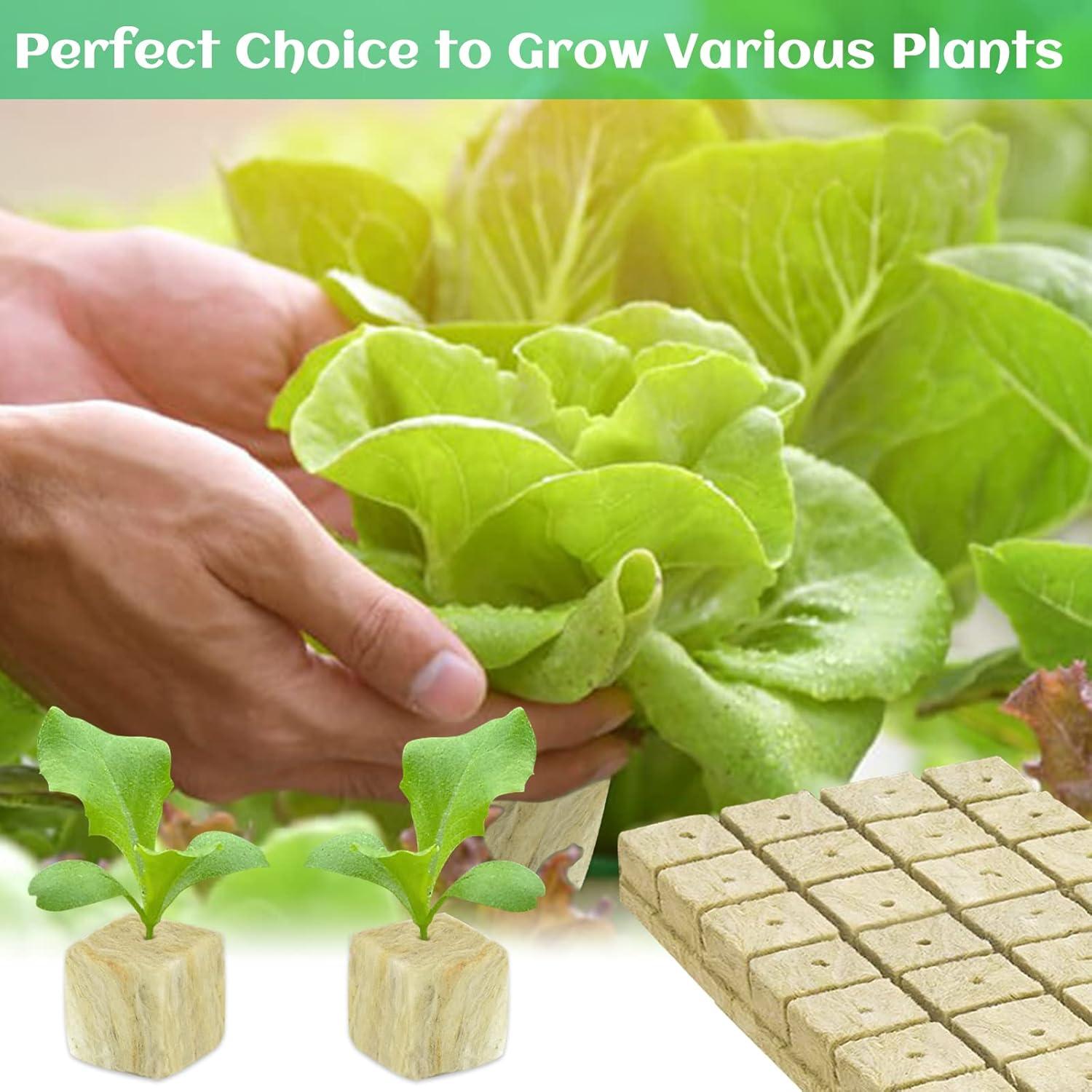 Cubos de Lana de Roca Legigo 5.08 cm para Germinación Hidropónica