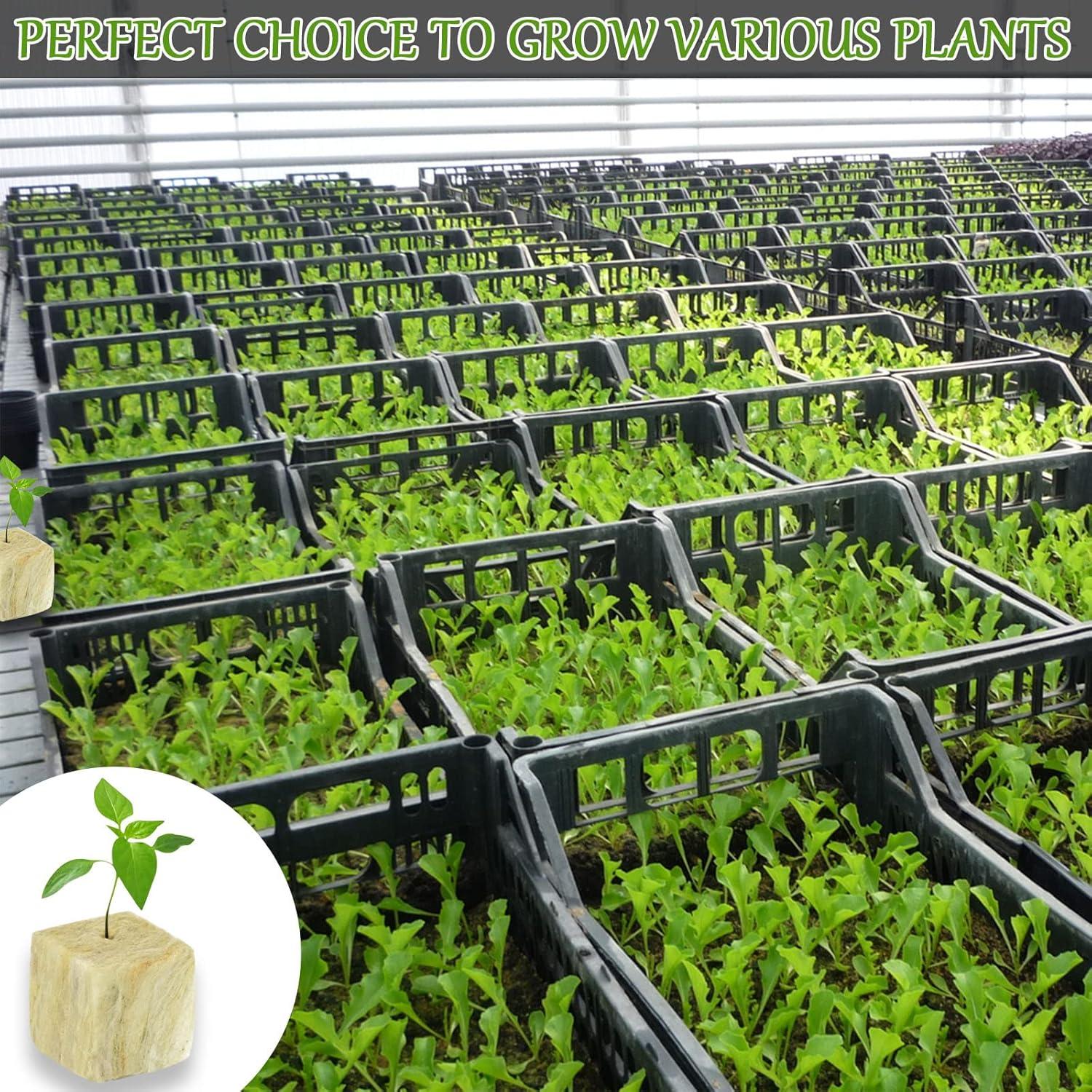 Cubos de Lana de Roca Legigo 5.08 cm para Germinación Hidropónica