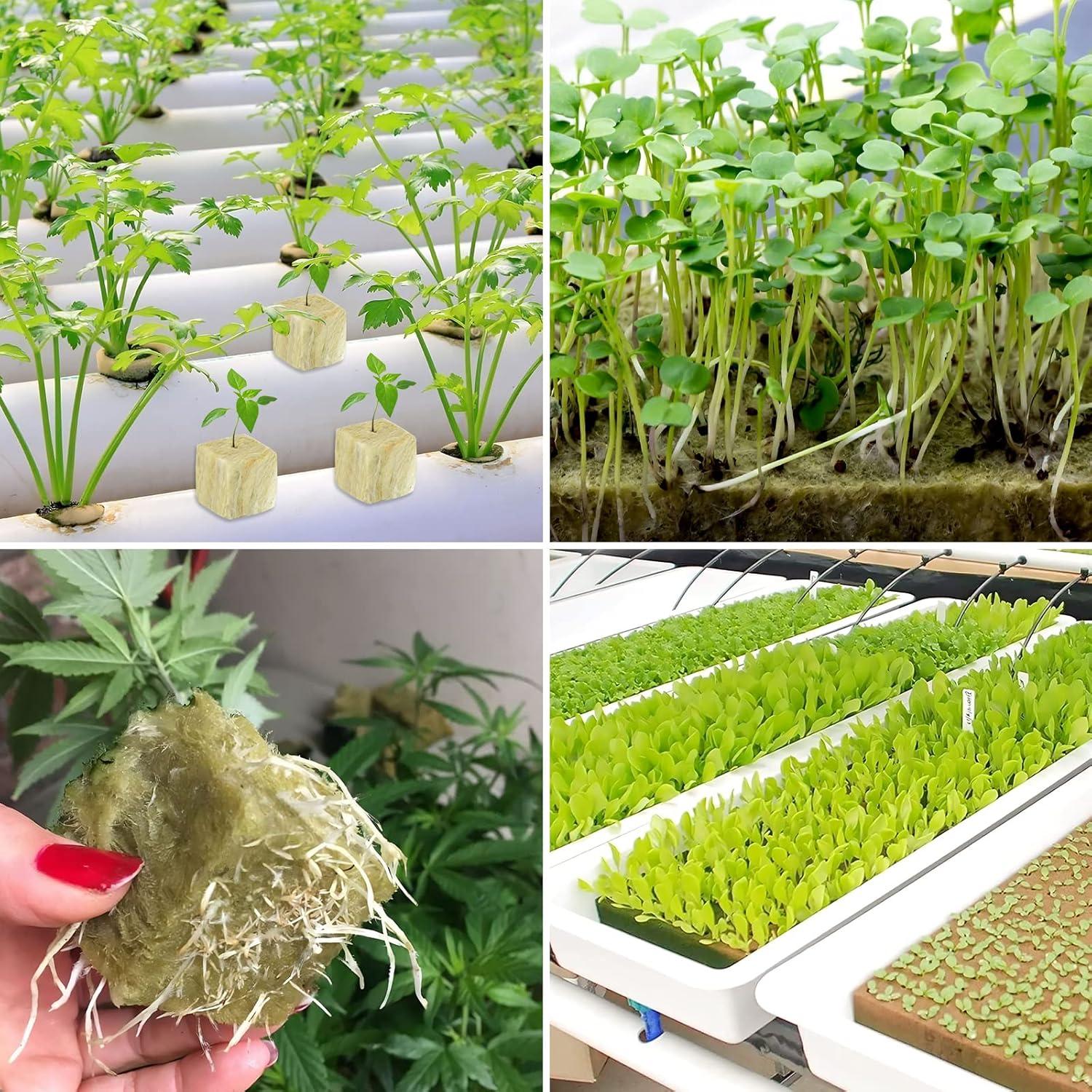 Cubos de Lana de Roca Legigo 5.08 cm para Germinación Hidropónica