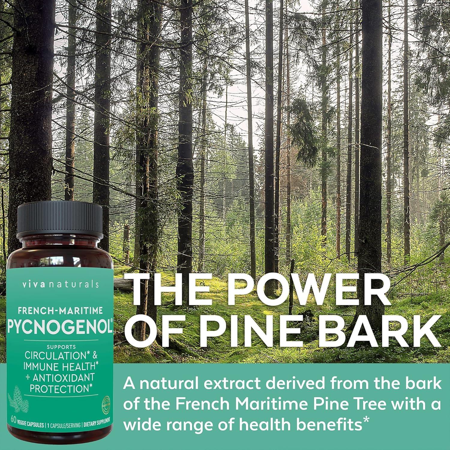 Suplemento Pycnogenol 100 mg Viva Naturals - 60 Cápsulas Vegetales