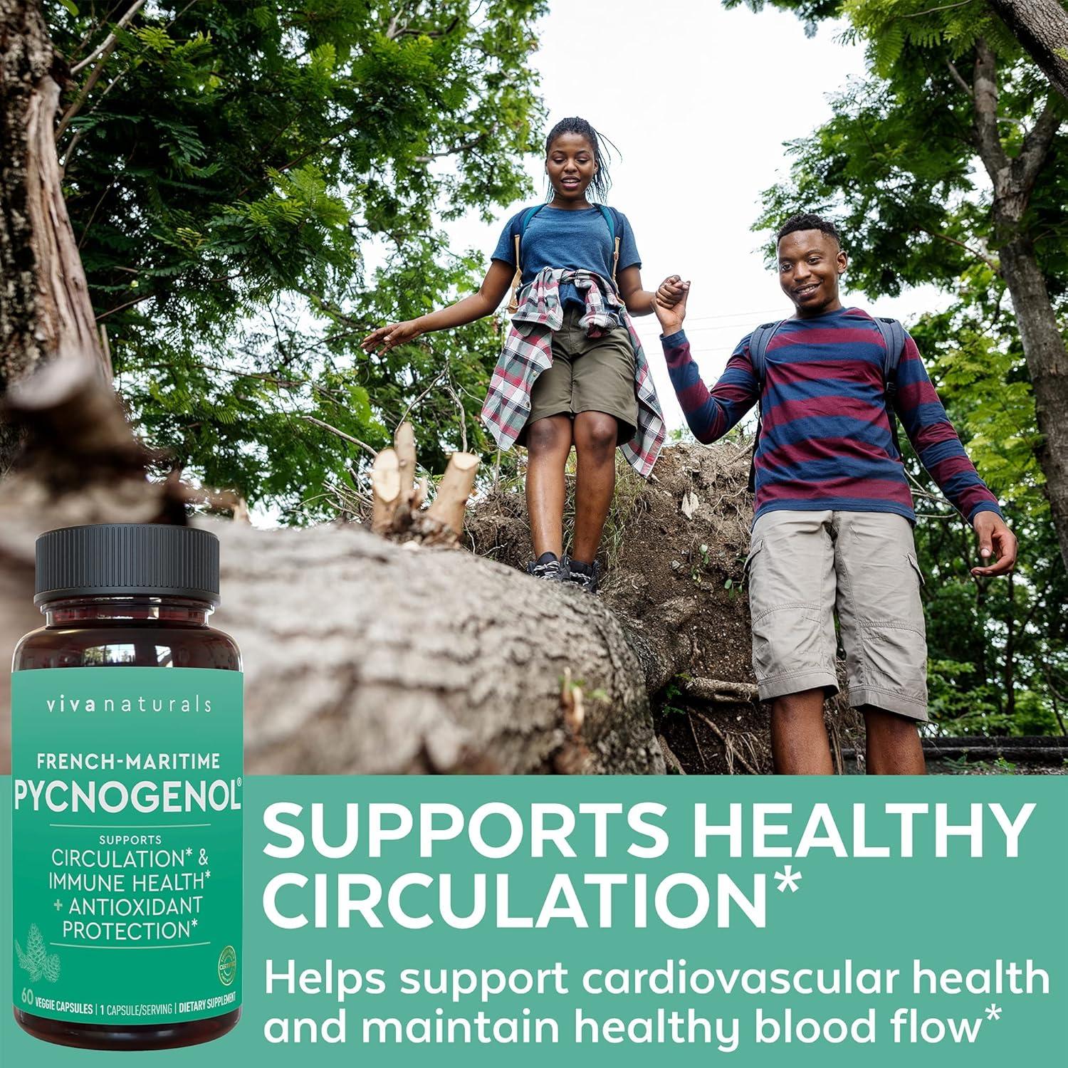 Suplemento Pycnogenol 100 mg Viva Naturals - 60 Cápsulas Vegetales