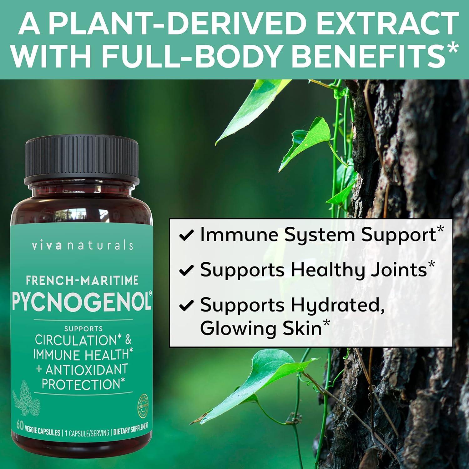 Suplemento Pycnogenol 100 mg Viva Naturals - 60 Cápsulas Vegetales