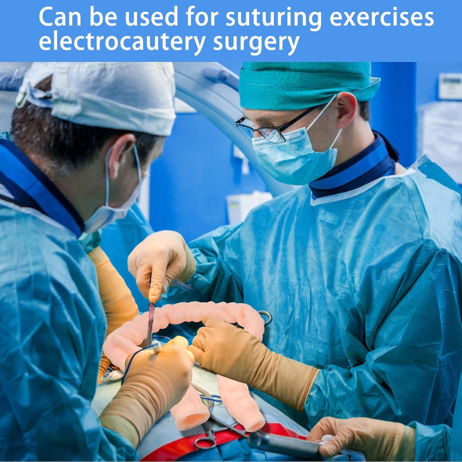 Large Intestine Model,Colon Suturing Practice,Electrocautery Practice, Understanding The Internal Structure and Pathology of The Colon,Provide a Realistic Medical Practice and Training Experience