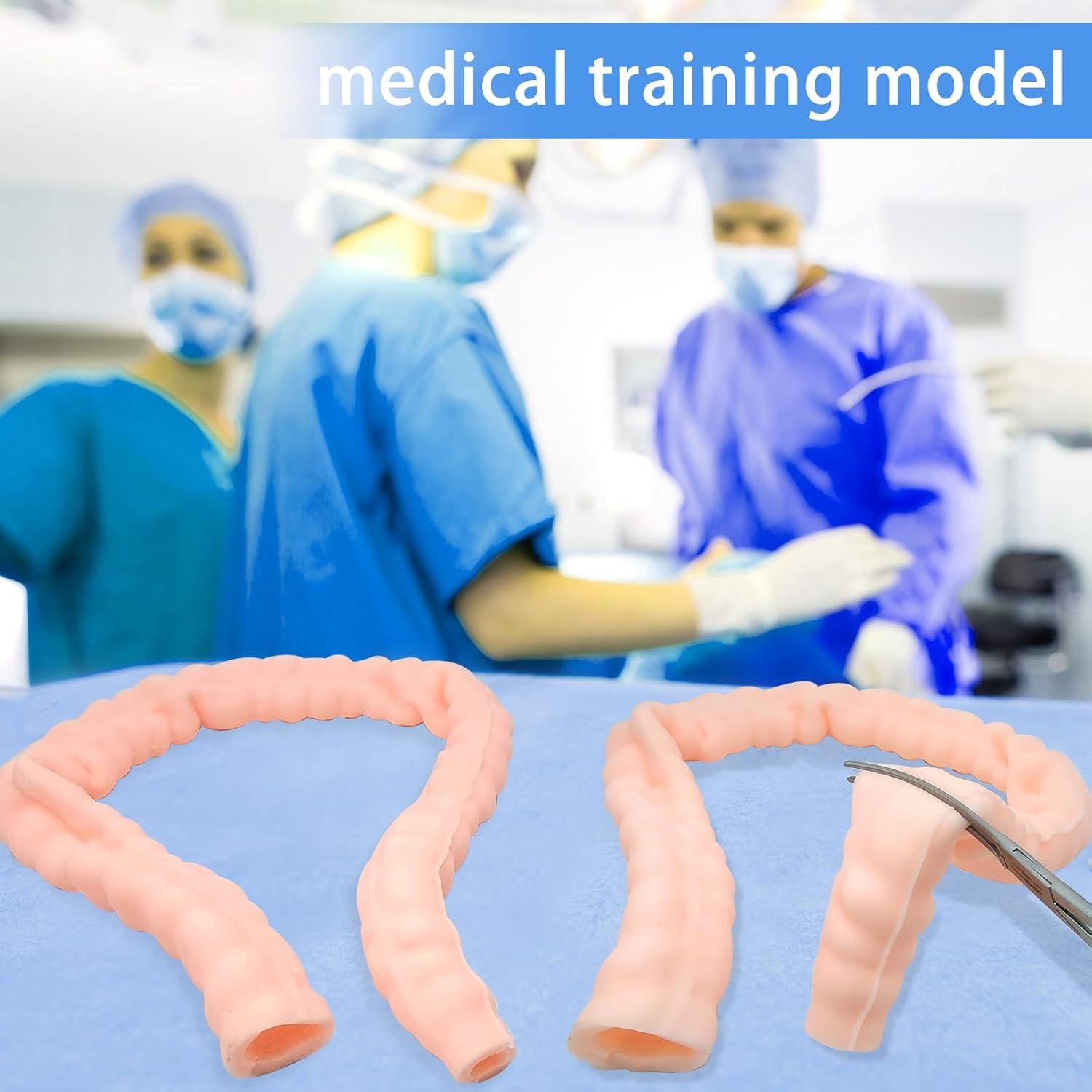 Large Intestine Model,Colon Suturing Practice,Electrocautery Practice, Understanding The Internal Structure and Pathology of The Colon,Provide a Realistic Medical Practice and Training Experience