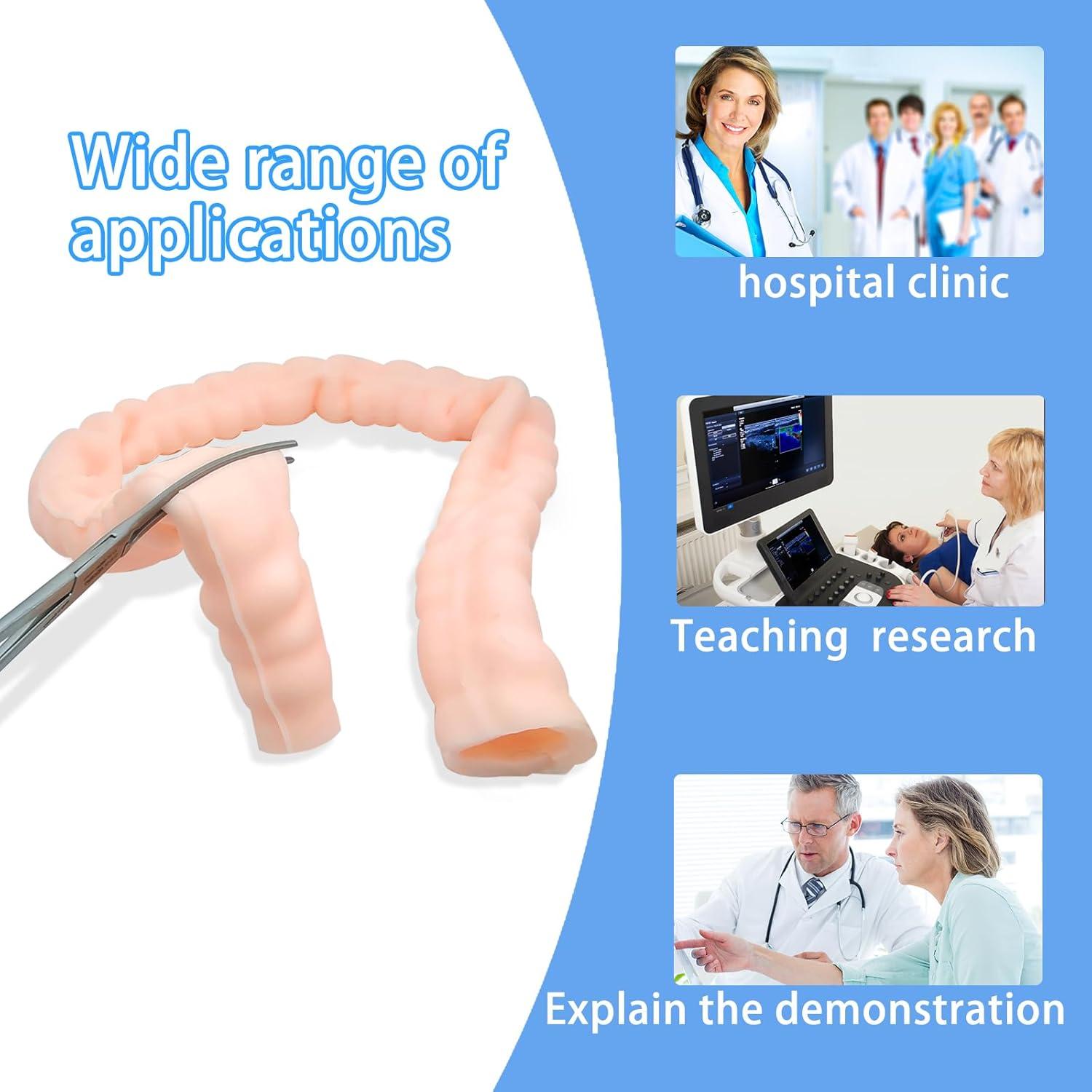 Large Intestine Model,Colon Suturing Practice,Electrocautery Practice, Understanding The Internal Structure and Pathology of The Colon,Provide a Realistic Medical Practice and Training Experience