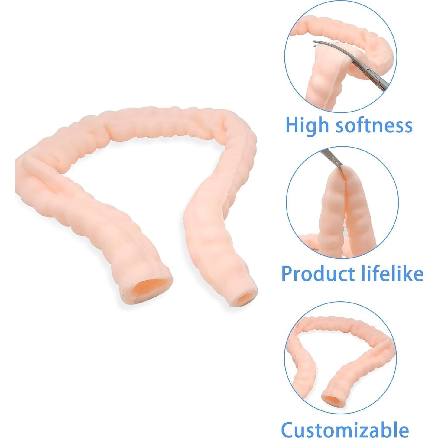 Large Intestine Model,Colon Suturing Practice,Electrocautery Practice, Understanding The Internal Structure and Pathology of The Colon,Provide a Realistic Medical Practice and Training Experience