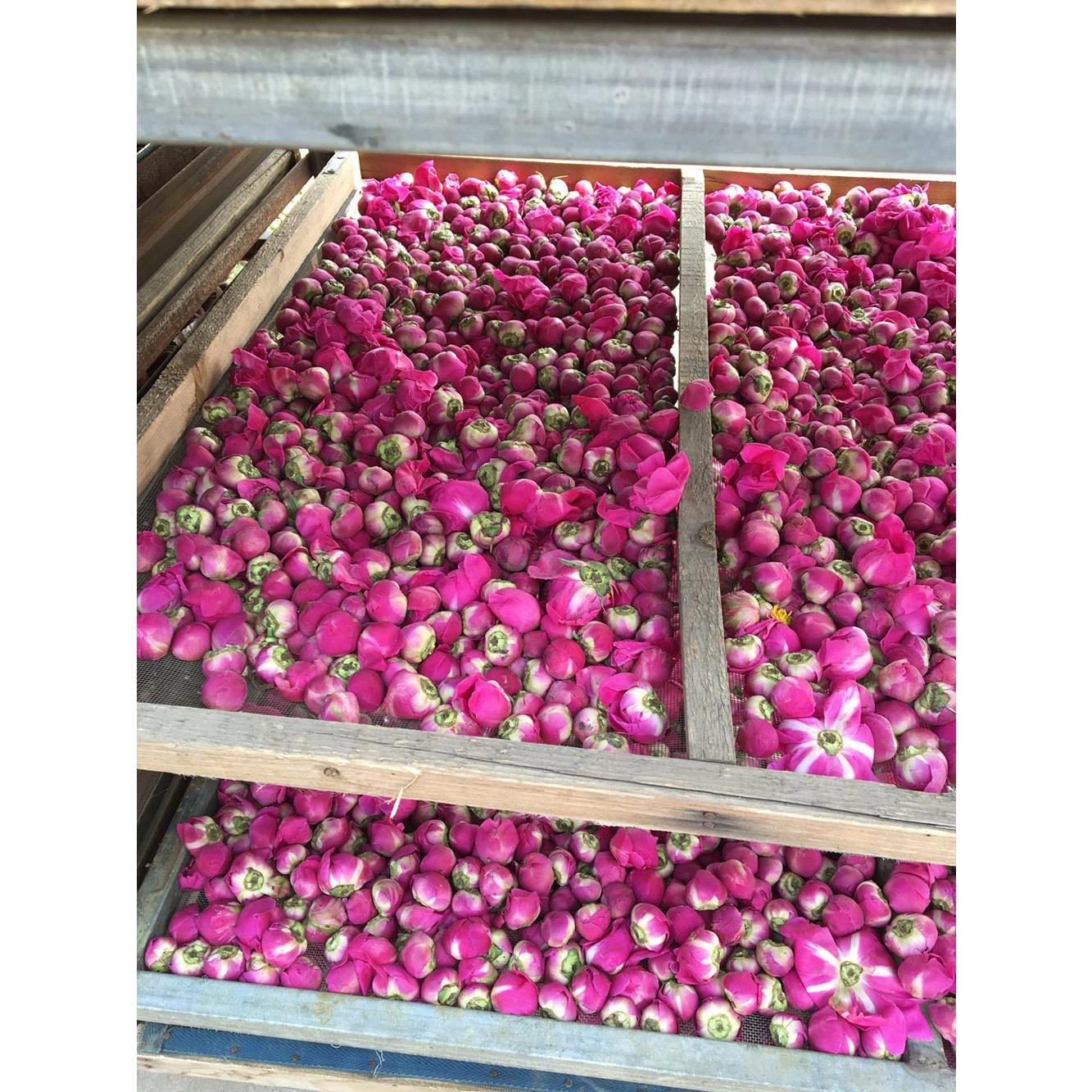 Bola Fragante de Peonía Secas 113.4 g TooGet - Grado Superior