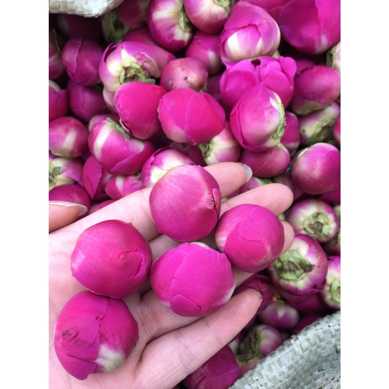 Bola Fragante de Peonía Secas 113.4 g TooGet - Grado Superior