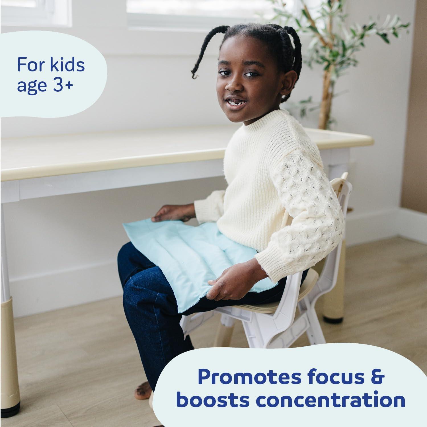 Almohadilla de Peso para Rodillas Fun and Function 1.36 kg