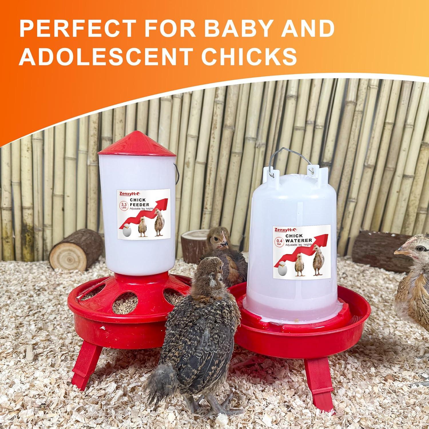 Juego Comedero y Bebedero para Pollitos ZenxyHoC 0.4 Gal Rojo