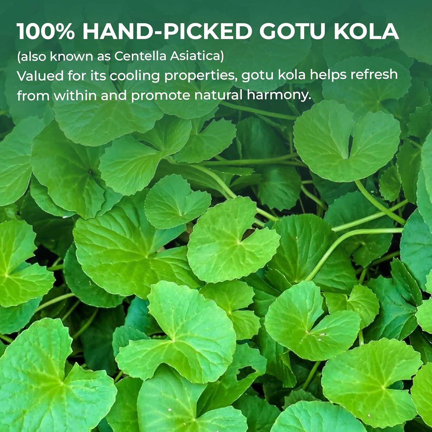 Polvo de Centella Asiática GREEN NATURE 300 g - Sin Aditivos