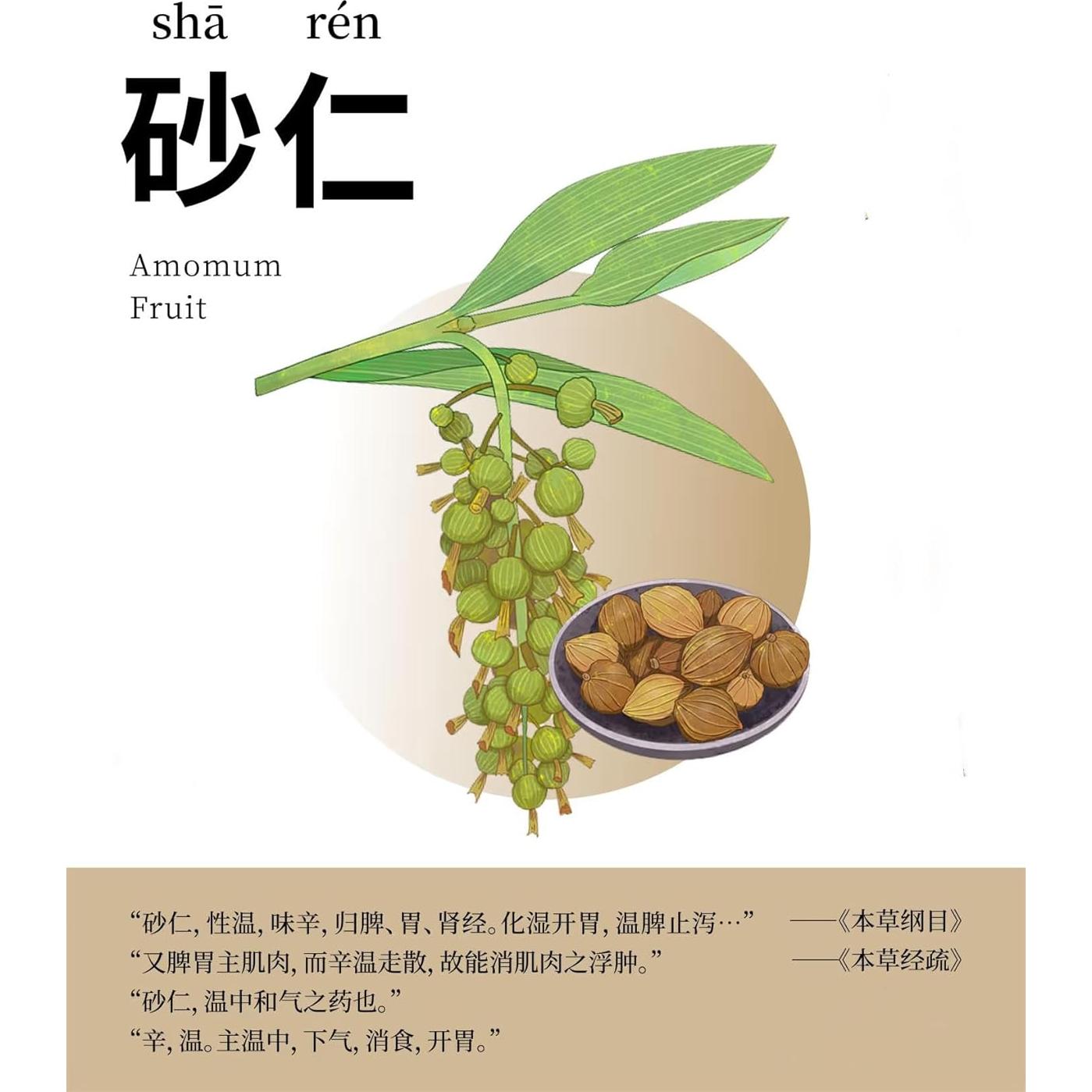 Cardamomo Chino Amomum Villosum 150g - Especia Natural