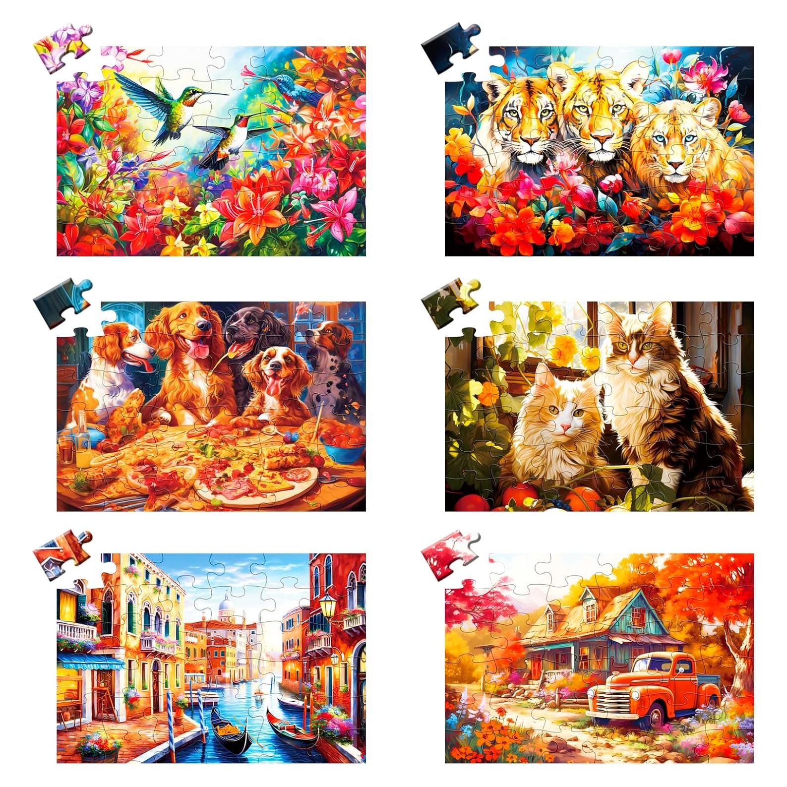 Paquete de 6 rompecabezas grandes WSCXSC para ancianos 36 piezas