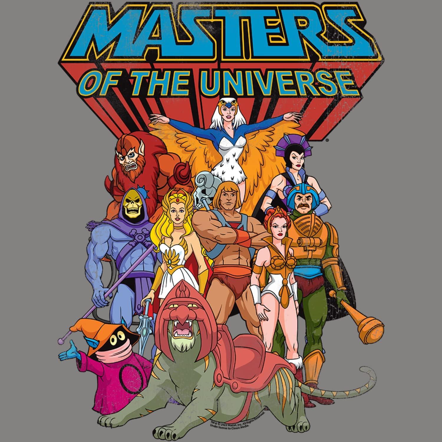 Camiseta para Niños Masters of the Universe Gris Pequeño