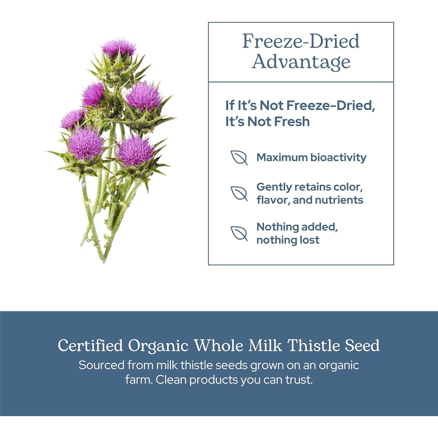 Cápsulas de Cardo Mariano Eclectic Herb 120 CT | 600 mg | Vegano