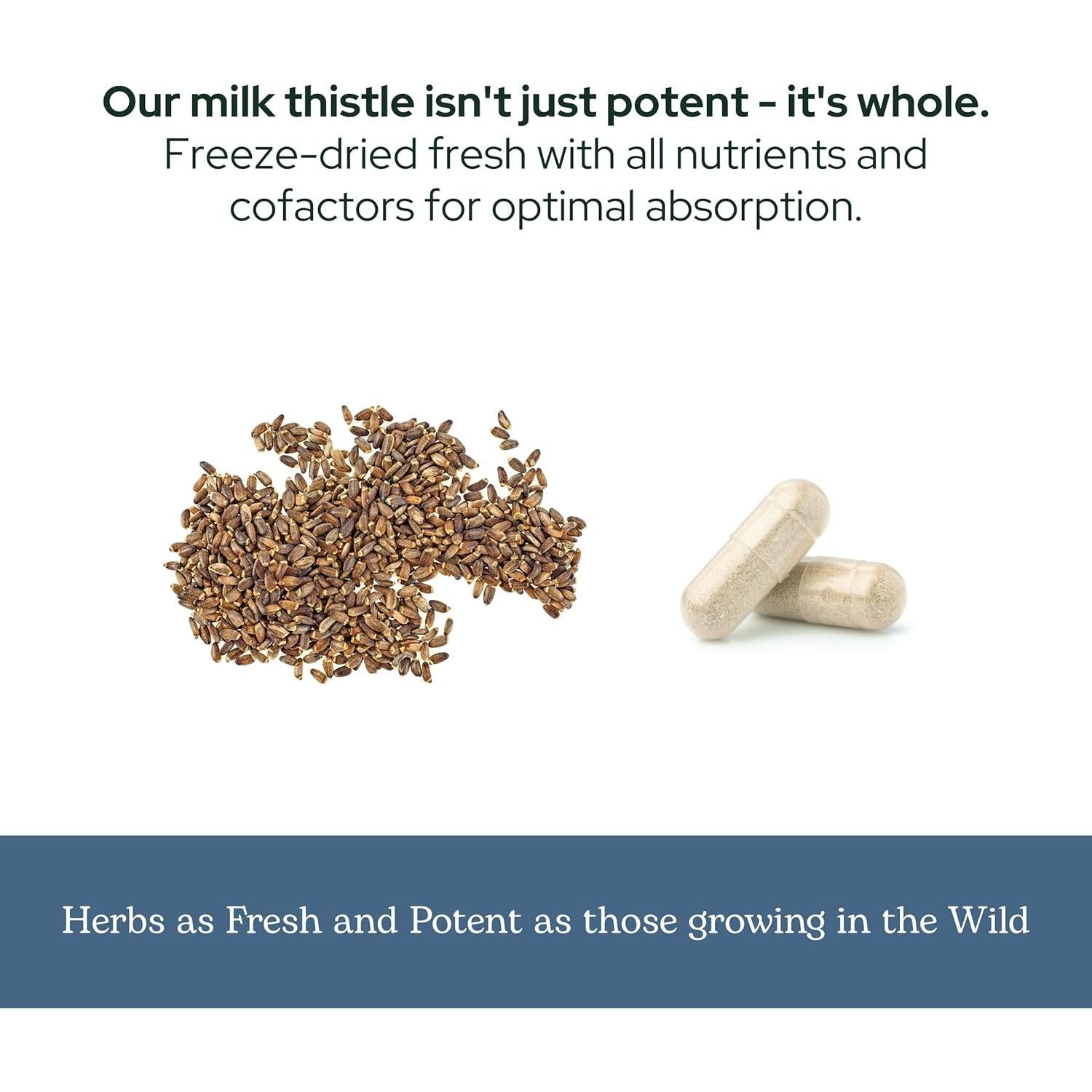 Cápsulas de Cardo Mariano Eclectic Herb 120 CT | 600 mg | Vegano