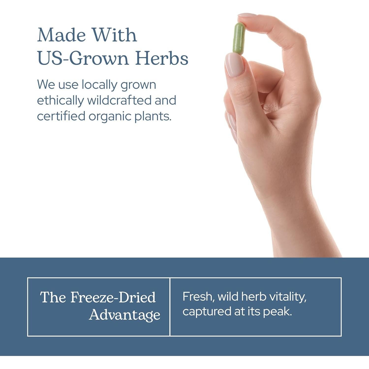 Cápsulas de Cardo Mariano Eclectic Herb 120 CT | 600 mg | Vegano