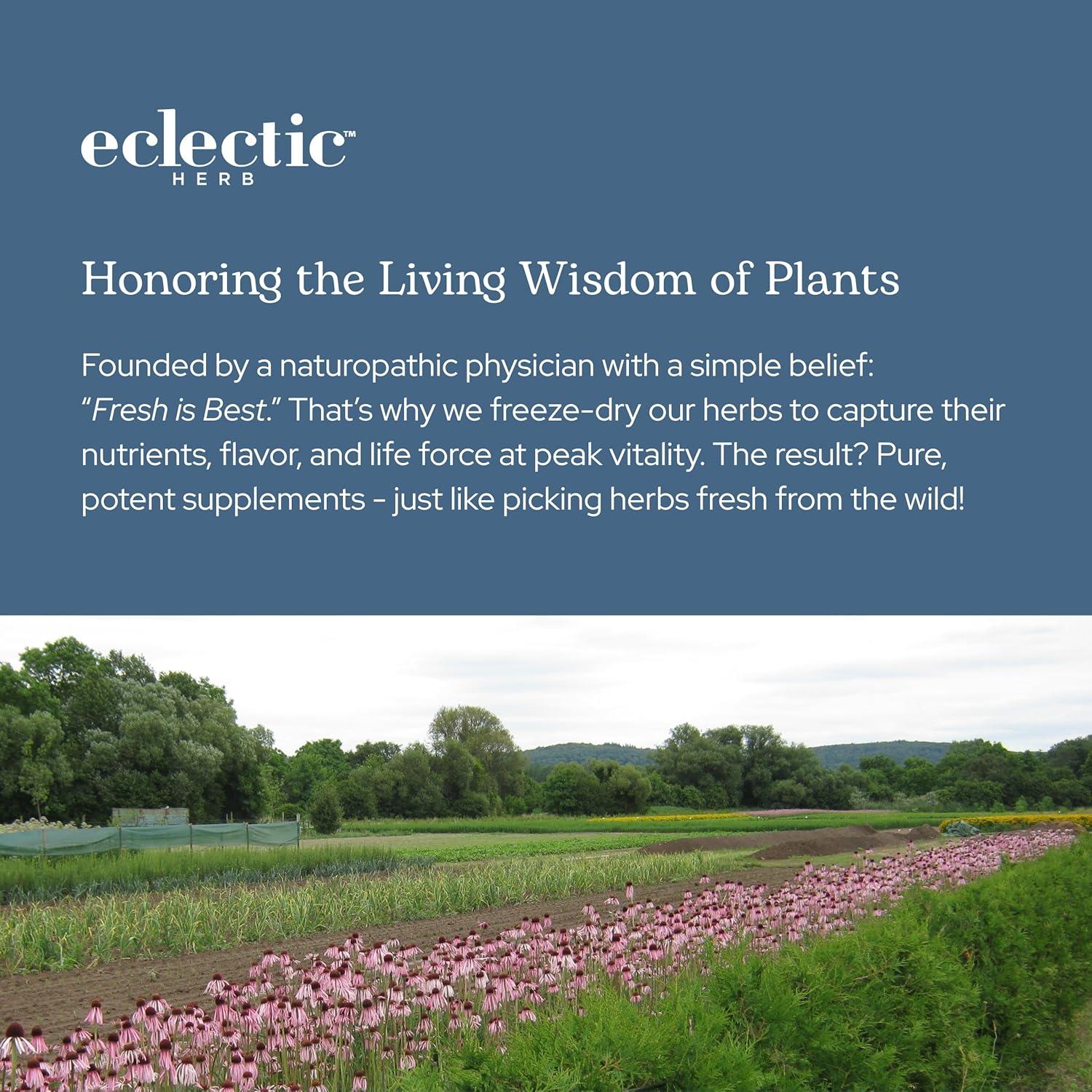 Cápsulas de Cardo Mariano Eclectic Herb 120 CT | 600 mg | Vegano