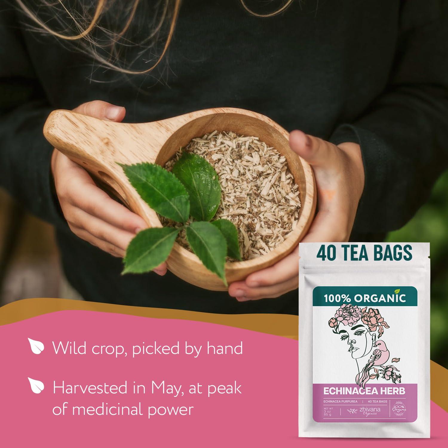 Té de Equinacea Orgánico 40 Bolsitas - Soporte Inmunológico