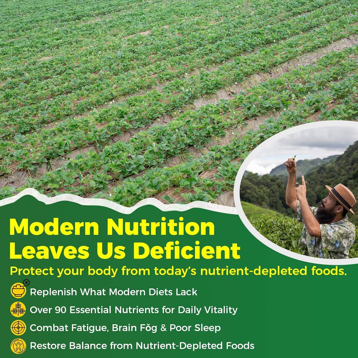 Gomitas de Moringa Espirulina EnvyCure 60 Unidades 1000mg