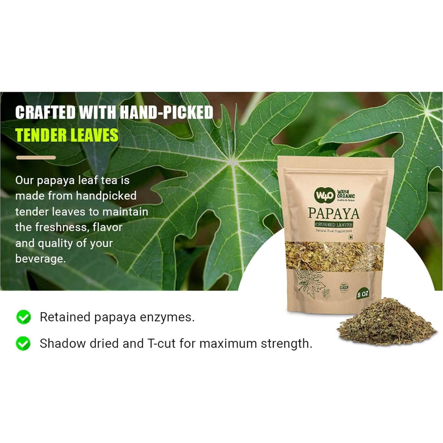 Té de Hoja de Papaya 227 Gr - Way4Organic, 100% Hojas Sueltas