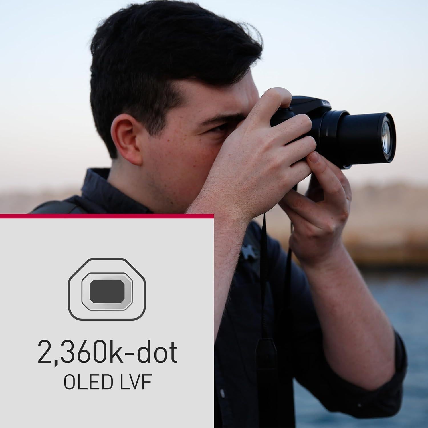 Cámara Digital Panasonic Lumix FZ80D 18.1MP Zoom 60x Accesorios