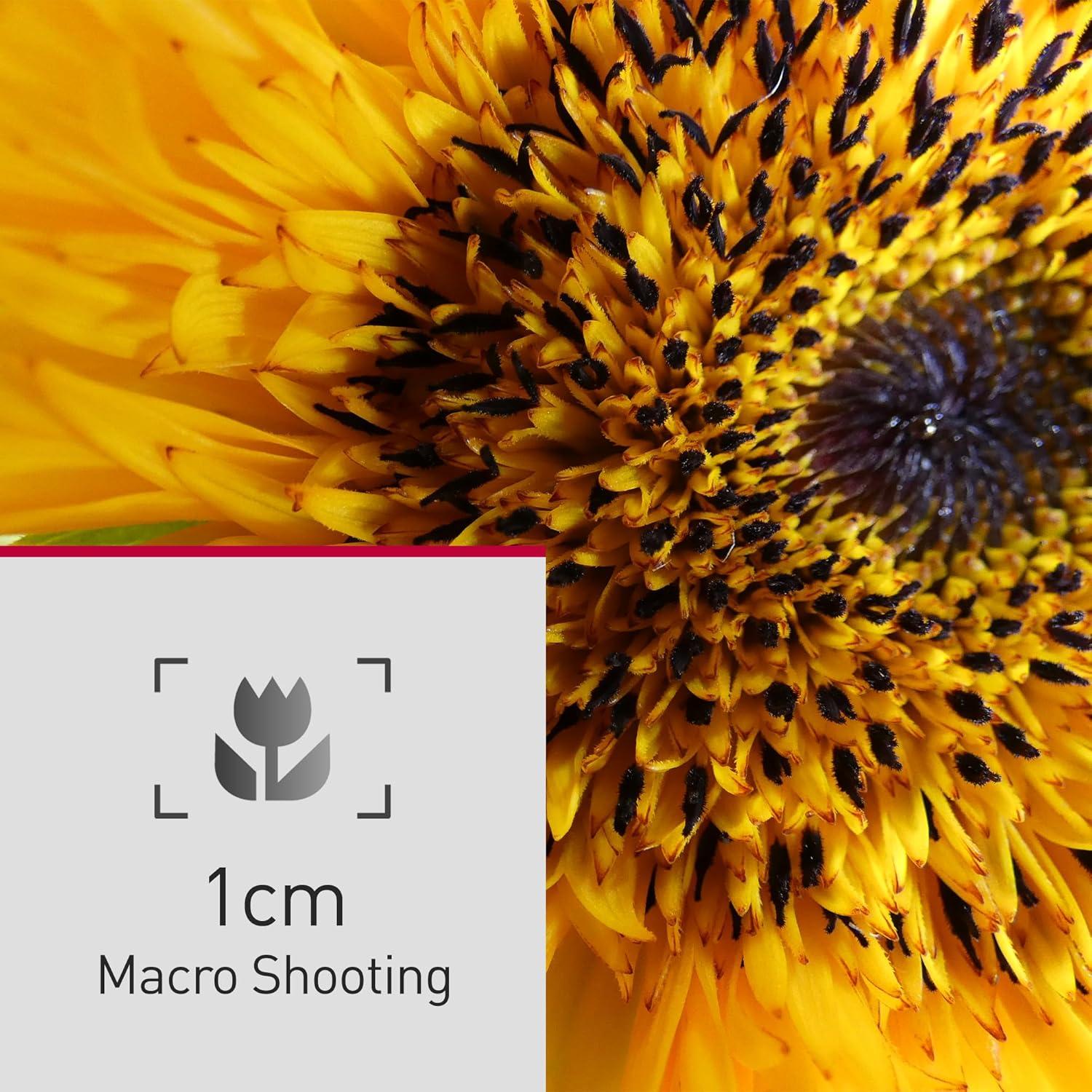 Cámara Digital Panasonic Lumix FZ80D 18.1MP Zoom 60x Accesorios