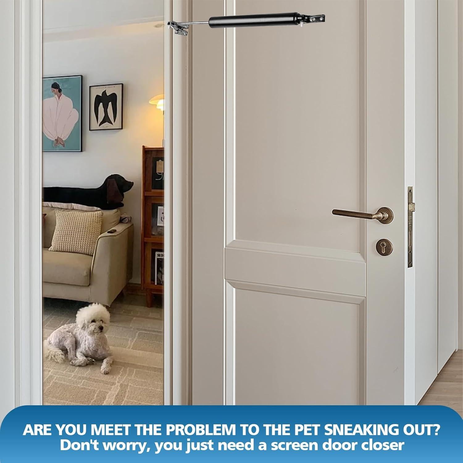 Cierre Neumático para Puertas de Pantalla MaxxGeek Negro