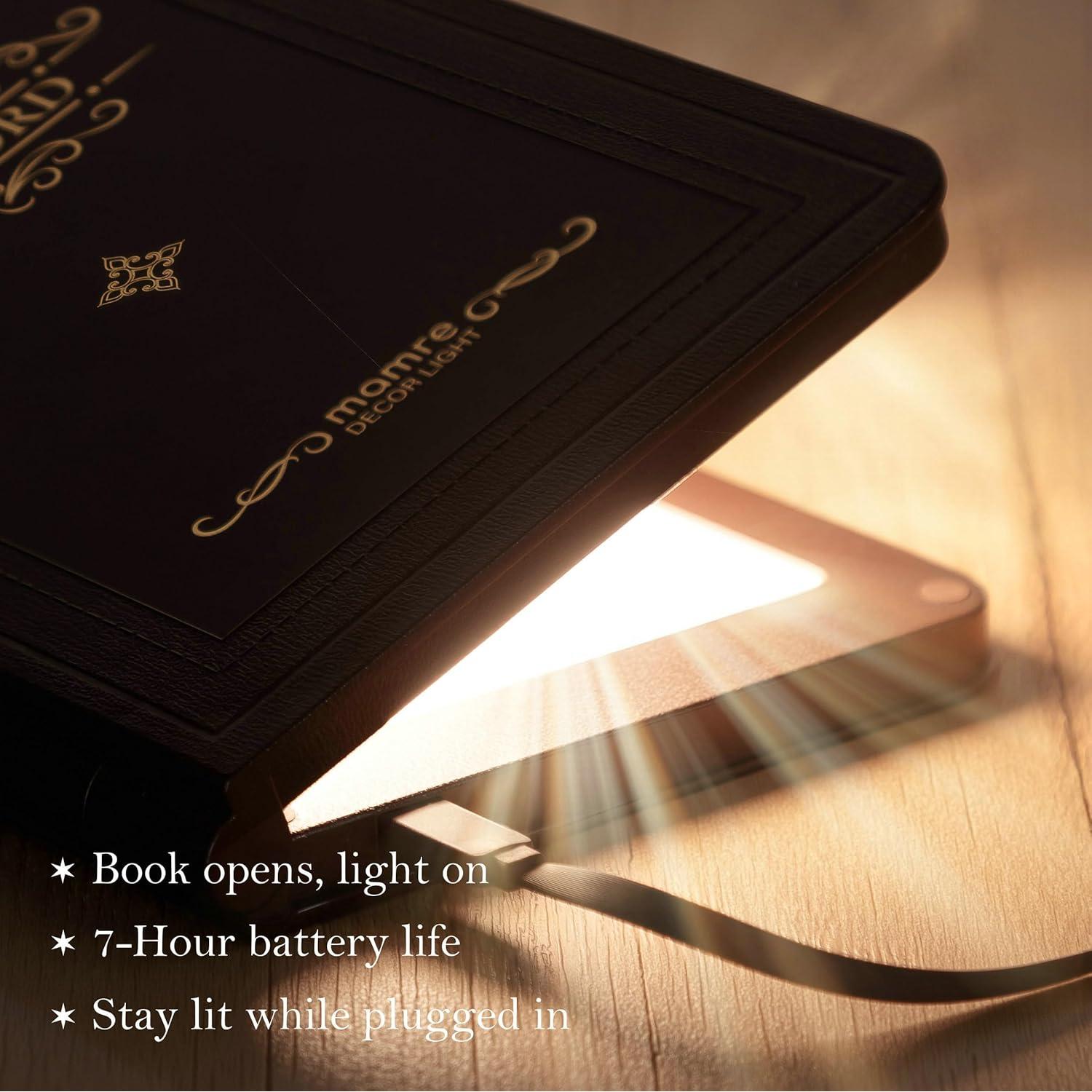 Lámpara de Versículos Bíblicos Mamre - Luz de Exhibición 5x16.5cm